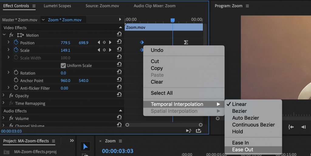 premiere pro zoom in text editor