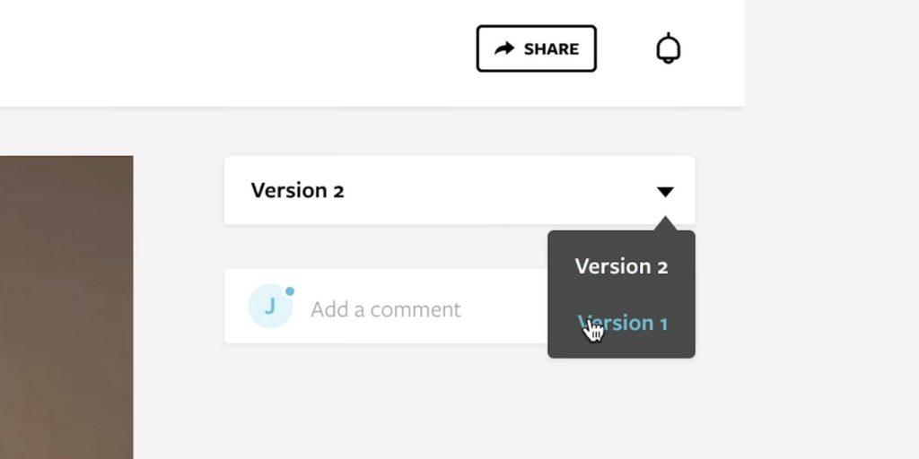 Multiple Video Versions