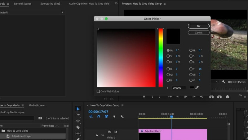 colorpicker that covers entire screen