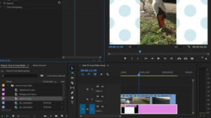 How to Crop a Video in Adobe Premiere Pro (Tutorial with Images