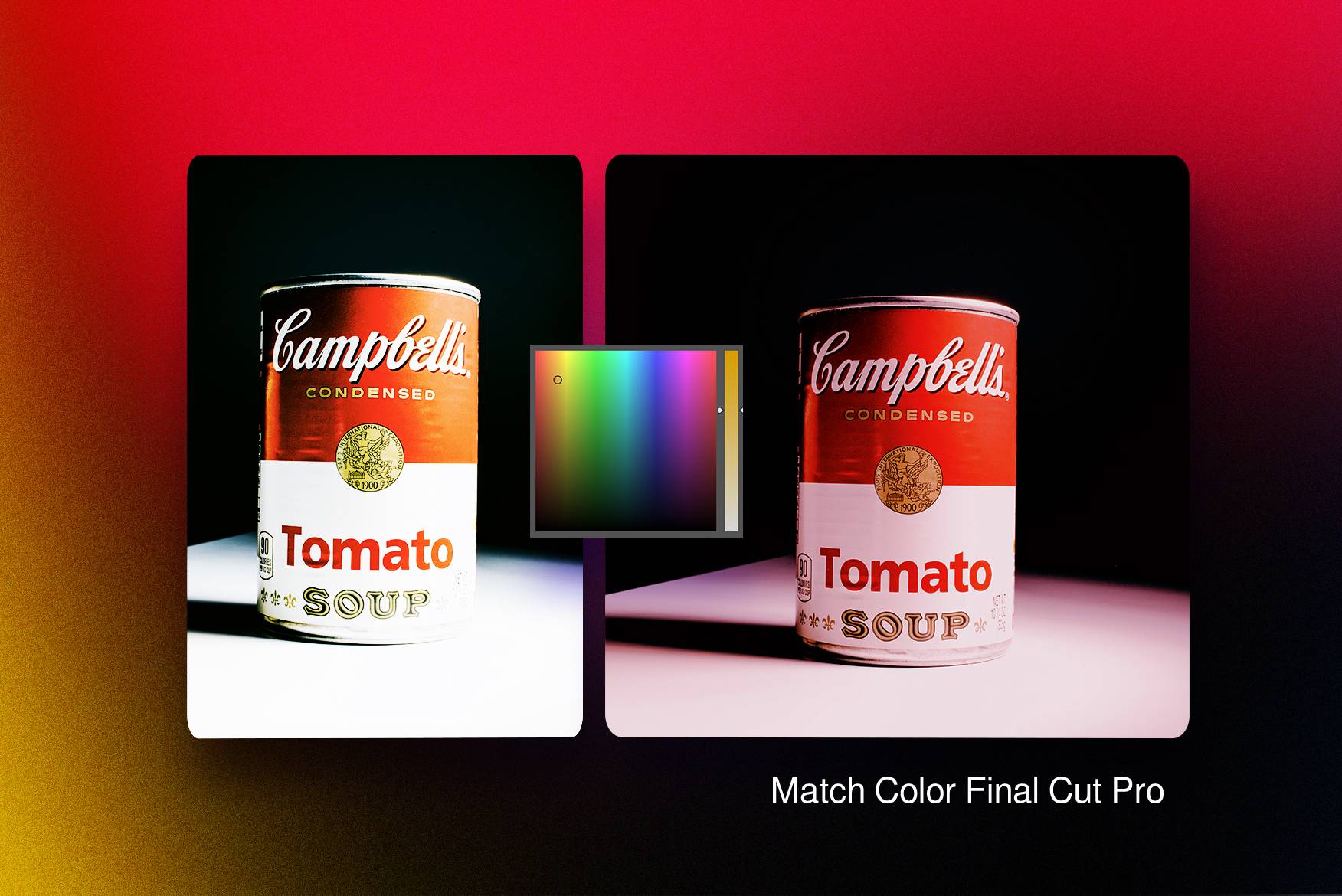 Learn to Easily Match Color in Final Cut Pro (Balance Color) Motion Array