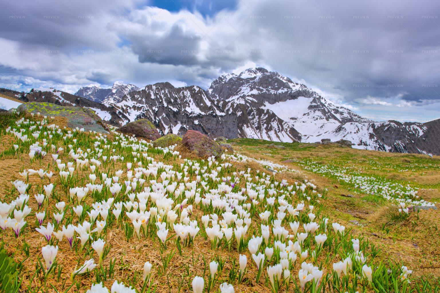 Top 30 Spring Facebook Cover Photos & Videos to Spruce Up Your Profile ...