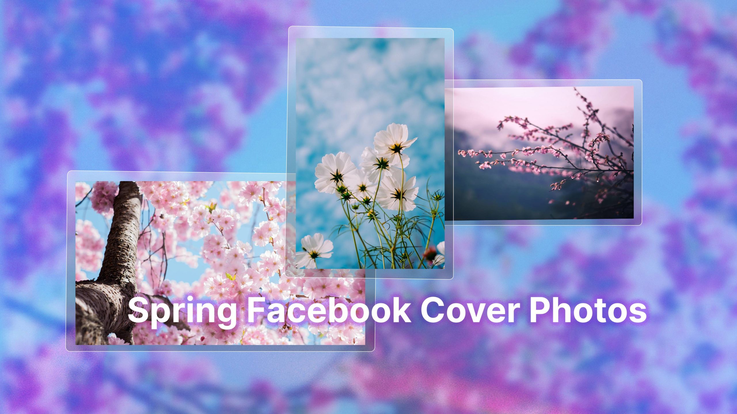 cool facebook covers ideas
