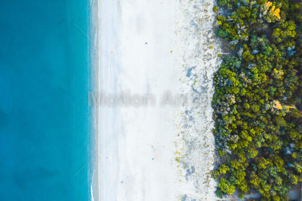 Ariel view of trees next to a white sandy beach next to the sea